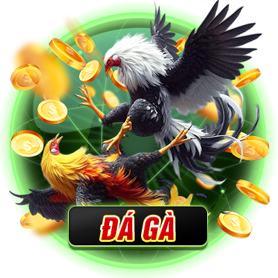 đá gà