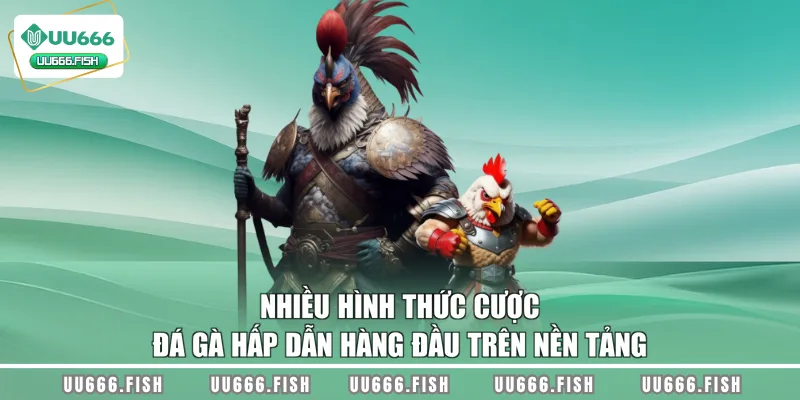 Nhiều hình thức cược đá gà hấp dẫn hàng đầu trên nền tảng