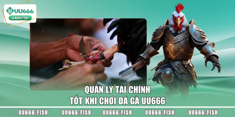 Quản lý tài chính tốt khi chơi đá gà UU666