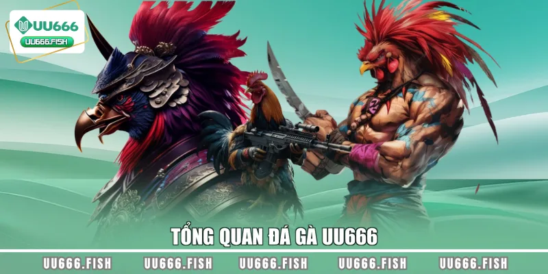 Tổng quan đá gà UU666